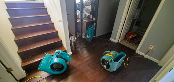 Best 24/7 water damage repair  in Marianne, PA