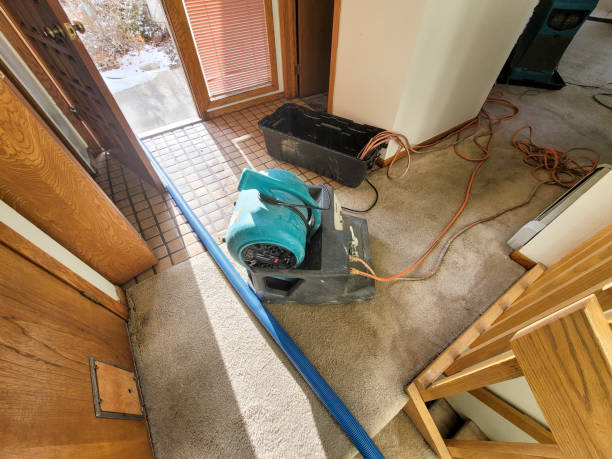 Best Sewage cleanup and water damage restoration  in Marianne, PA