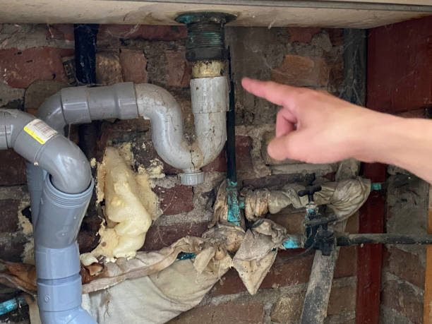 Best Basement water damage restoration  in Marianne, PA