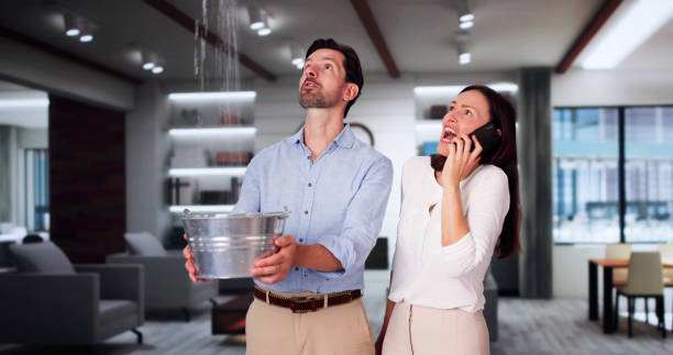 Best Water damage restoration near me  in Marianne, PA