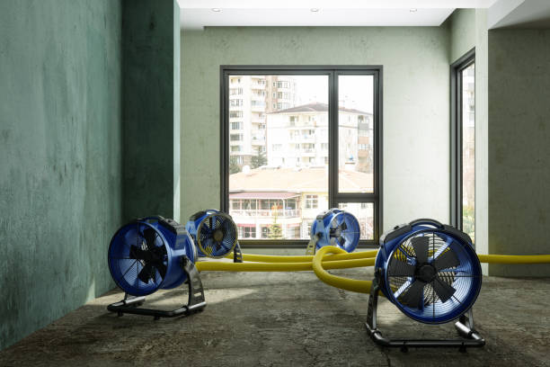 Best 24-hour water damage restoration  in Marianne, PA